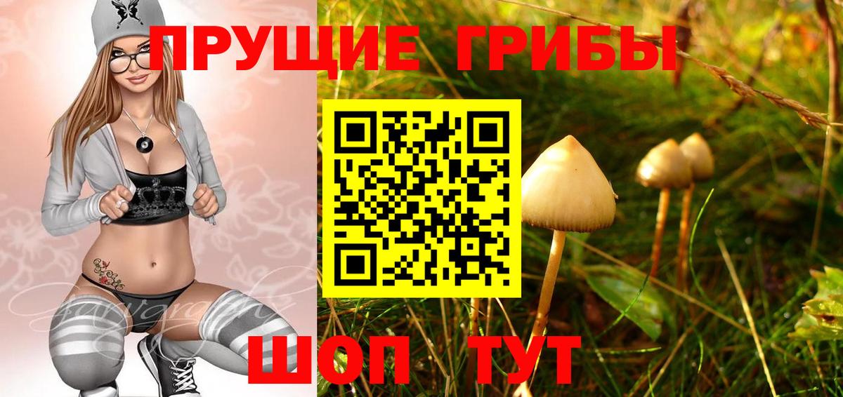 Галлюциногенные грибы MAGIC MUSHROOMS  Псилоцибиновые грибы MAGIC MUSHROOMS  Вход с VPN  Воркута 